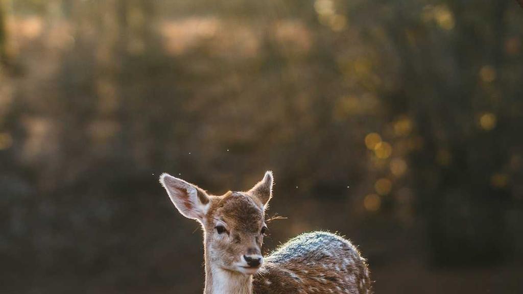 相机参数与后期：解锁风光摄影的终极潜力